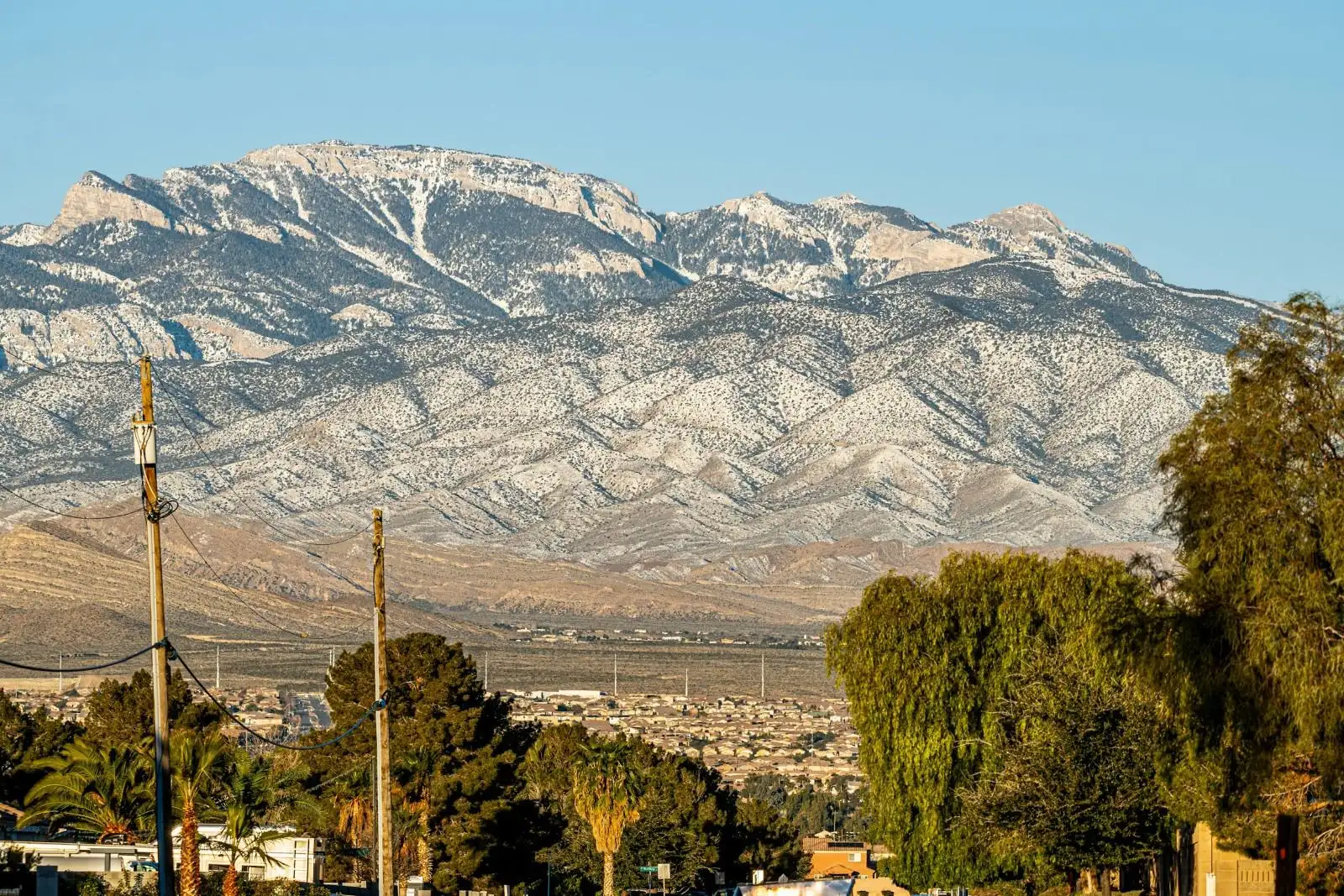 Palms and power lines on a valley street with a pale limestone mountain range rising behind the town