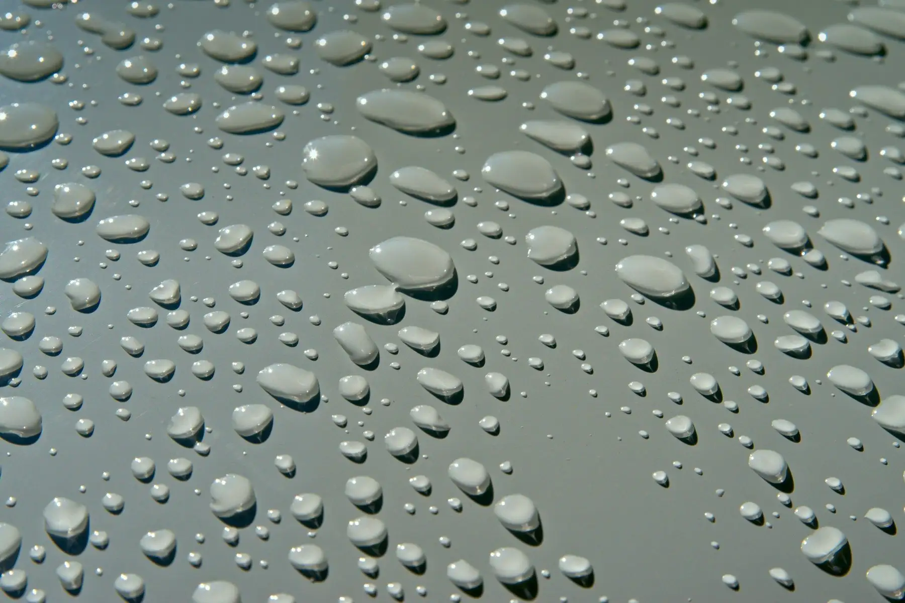 Tight round water beads standing on a grey coated car panel